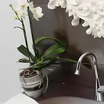 Boutique Vela Vrata
