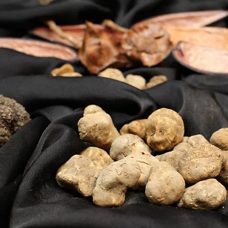 Boutique Vela Vrata מלון בוזט