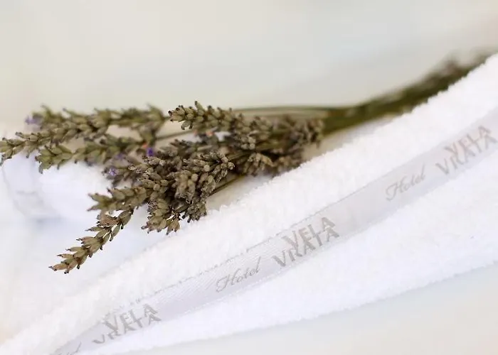 Boutique Vela Vrata Hotell