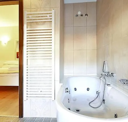 Boutique Vela Vrata 4* Бузет