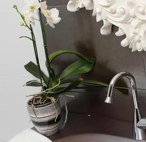 维拉吾拉塔精品酒店