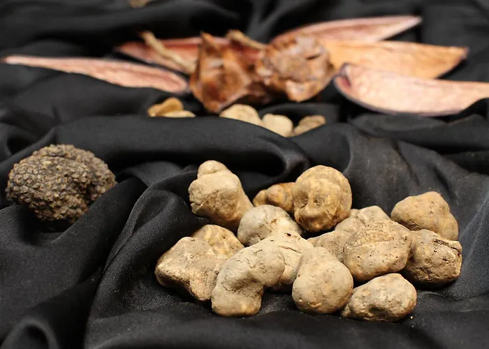 维拉吾拉塔精品酒店 酒店 布泽特