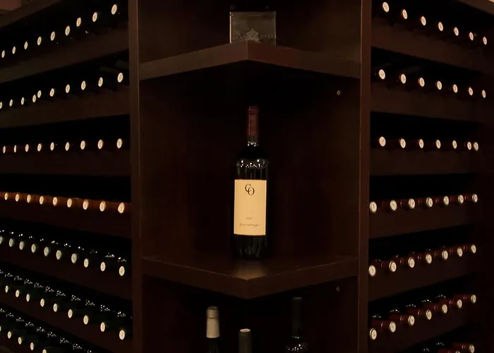 酒店 维拉吾拉塔精品酒店 4*